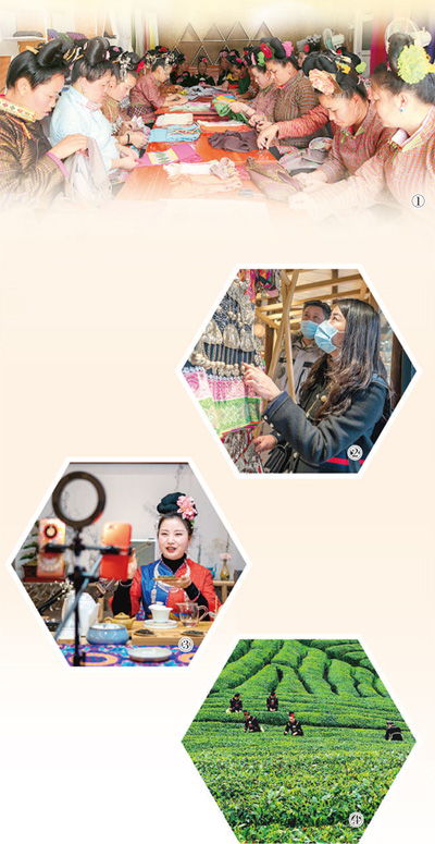 苗嶺山鄉發展插上網絡翅膀